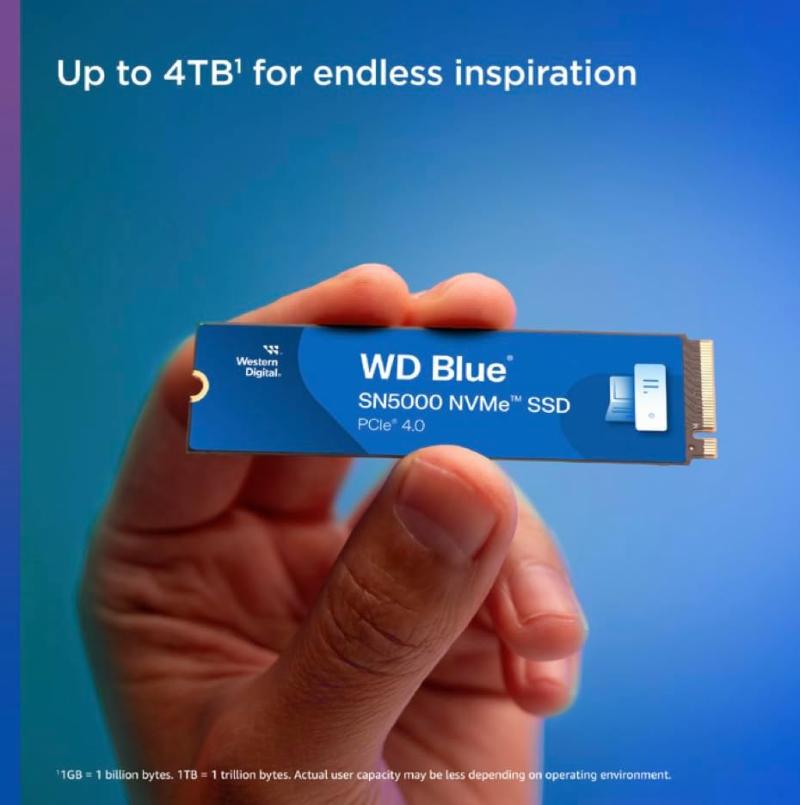 SSD Western Digital WD Blue SN5000 4 To