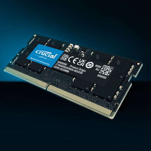 Crucial - 1 x 16 Go (16 Go) - DDR5 4800 MHz - CL40 - Mémoire Crucial sur