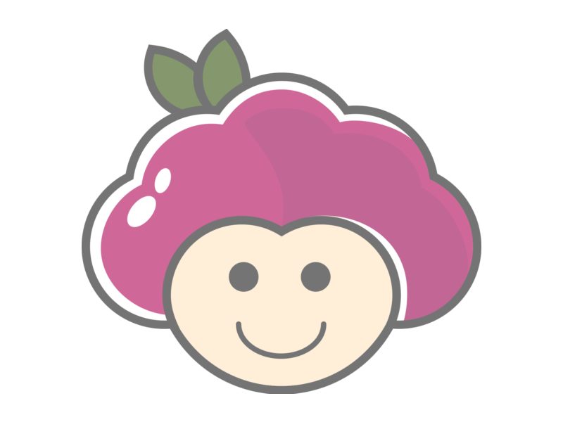 Hutopi Starter Kit Raspberry Pi 5 - 4 Go