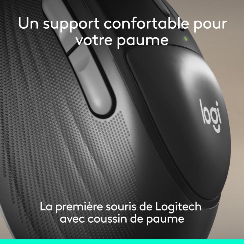 Souris ergonomique Logitech Signature Comfort Plus MK880