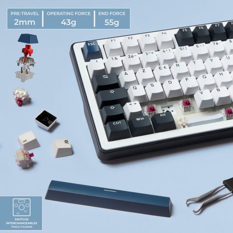 Switchs mécaniques du clavier KEYZ ELITE 450
