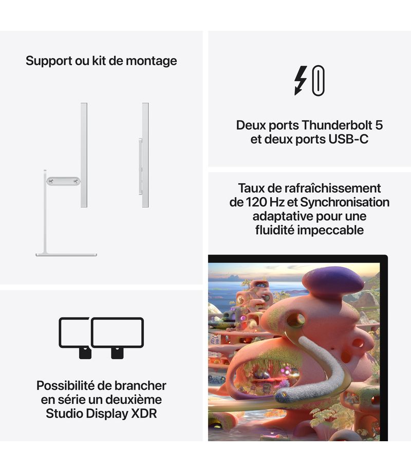 Connectique Thunderbolt et pied réglable du Studio Display XDR