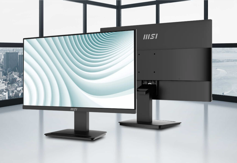 Écran PC MSI PRO MP2412