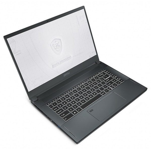 MSI WS66