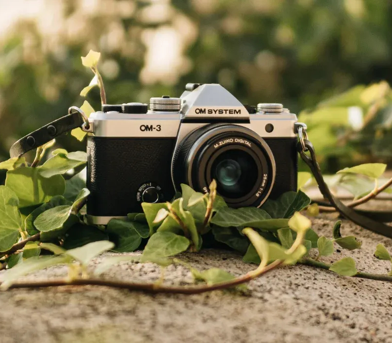 Canon RF 28-70mm F2.8 IS STM