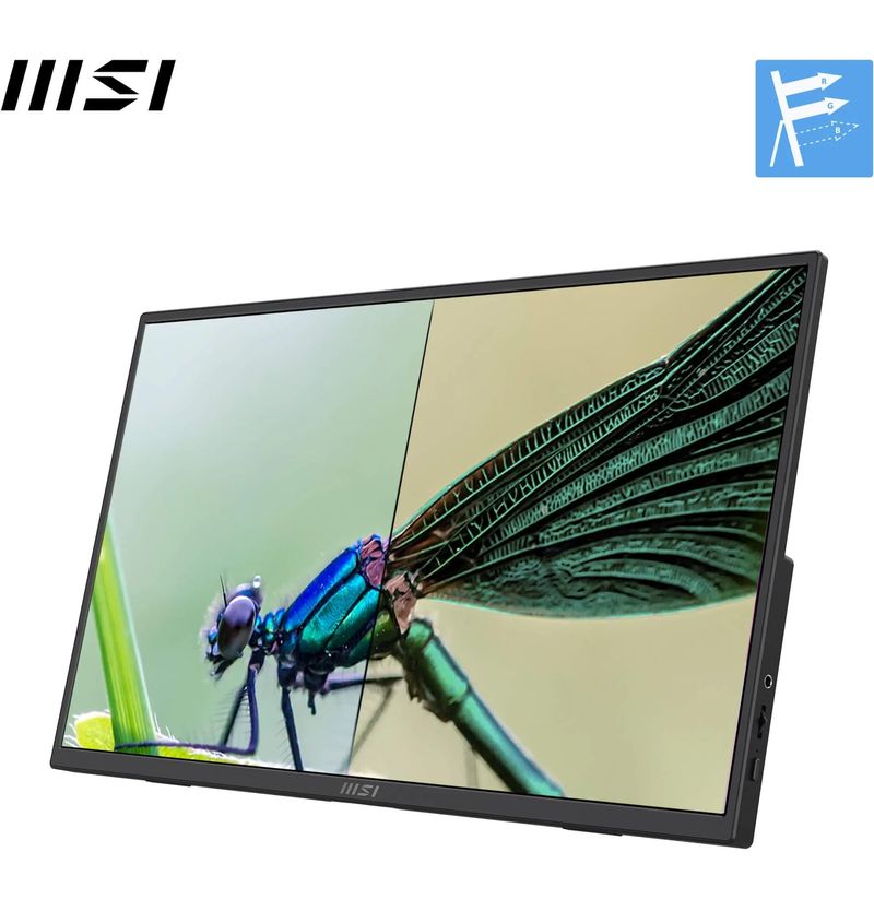 Dalle IPS portable MSI PRO MP165 E6