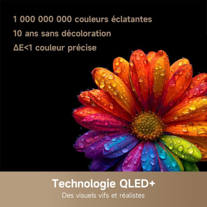 image QLED Dreame 65Q100 couleurs intenses HDR