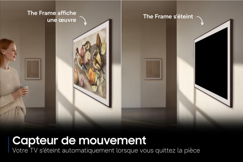 Fonctions Smart TV Samsung The Frame 43 pouces