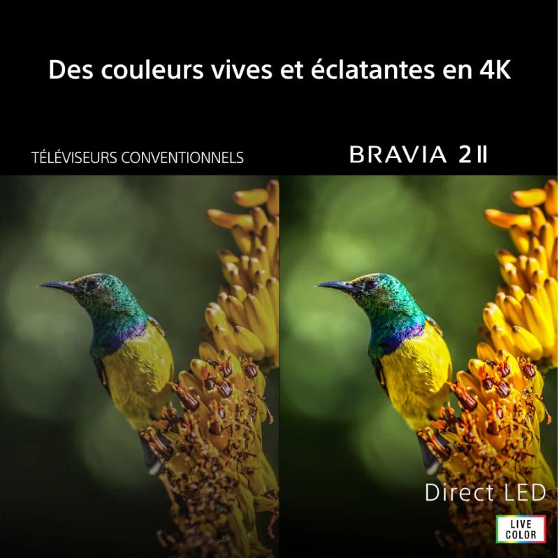 Image 4K du Sony BRAVIA 2 II