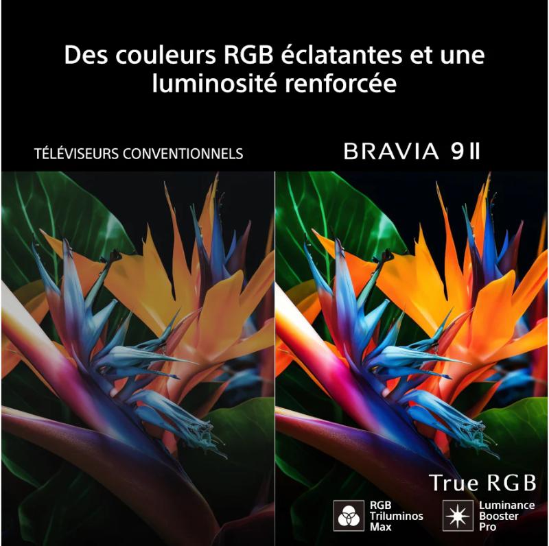 Technologie True RGB du Sony BRAVIA 9 II