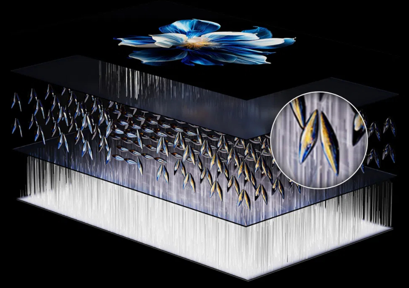 Dalle 144 Hz TCL 98C61K