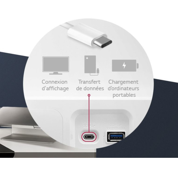 Une connectique DisplayPort, un hub USB et un pied ergonomique