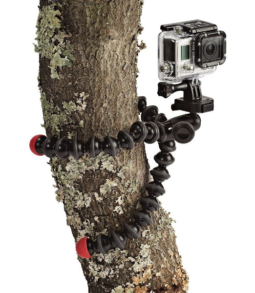 Exemple de caméra sur arbre
