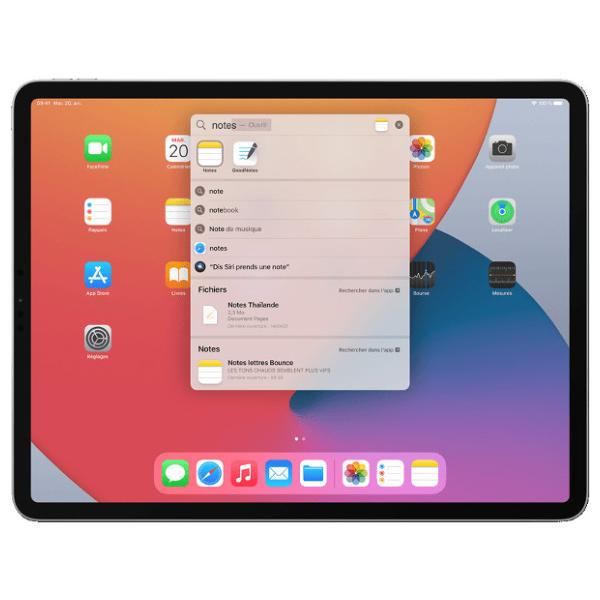 Apple 11-inch iPad Pro Wi-Fi - 1ère génération - tablette - 256 Go - 11  IPS (2388 x 1668) - gris sidéral