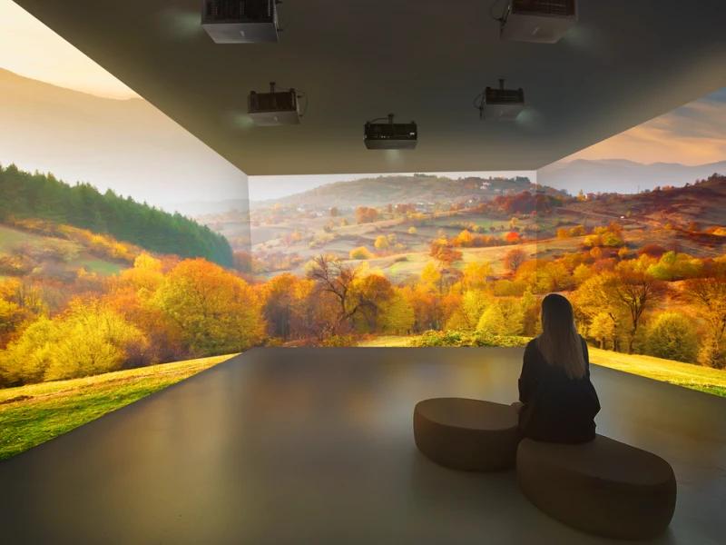 Connectivité du ViewSonic LS951WU