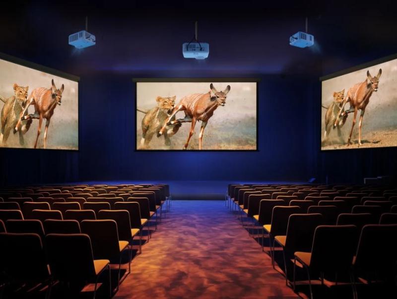 installation flexible vidéoprojecteur ViewSonic LSD600W 360 degrés