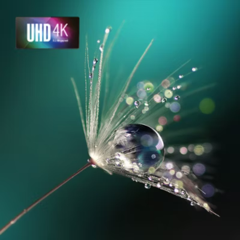 Projection 4K Acer PD1810ic