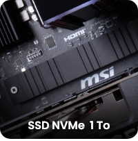 SSD NVMe 1 Go