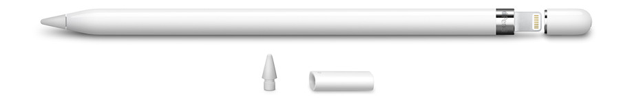 Apple Pencil, l'adaptateur Lightning et sa pointe de rechange 