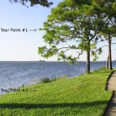 Une fluidité d'image inégalée avec G-Sync