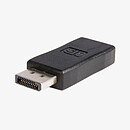DisplayPort