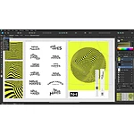 Logiciel image et son Affinity Designer v2 - Licence perpétuelle - 1 PC - A télécharger - Autre vue