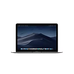 Apple MacBook Retina 12" - 1,3 Ghz - 8 Go RAM - 512 Go SSD (2017) (MNYG2LL/A) - Reconditionné