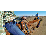 Accessoires caméra sport GoPro Fixation frontale + QuickClip - Autre vue