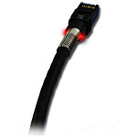  Câble Ethernet RJ45 Cat 6a FTP Patchsee - 6,1 m