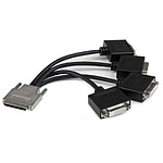 StarTech.com Cable Repartiteur 1 VHDCI vers 4 DVI-D - M / F