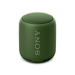 Sony SRSXB10 Vert