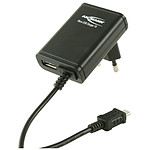 Ansmann 2 x USB avec câble micro USB