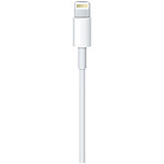 Apple Câble Lightning vers USB-C (1 m)