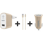 Belkin Pack câble - allume cigare - chargeur secteur (or)