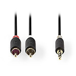 NEDIS Câble Audio Stéréo Jack 3.5 mm vers 2 x RCA mâle - 3 mètres