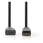 NEDIS Câble Mini HDMI mâle / HDMI femelle haute vitesse avec Ethernet Noir (20 cm)