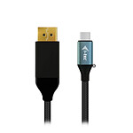 Câble USB i-tec câble USB-C / DisplayPort (M/M) - Autre vue