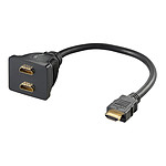 Adaptateur HDMI vers 2 ports HDMI - 20 cm
