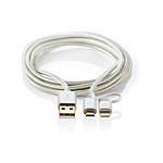 Cable 2-en-1 USB vers micro-USB + Lightning - 2 m