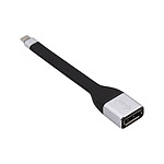 Adaptateur USB-C vers DisplayPort - 13 cm