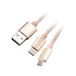 Cable USB-A vers USB-C et Micro USB-B - 1,2 mètre