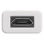 Câble USB Adaptateur USB-C vers Micro USB 2.0 - Autre vue