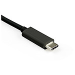 Câble DisplayPort Adaptateur USB-C vers DisplayPort (Power delivery) - Autre vue