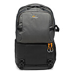 Lowepro Fastpack BP 250 AW III Gris