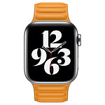 Accessoires montre et bracelet Apple Bracelet à maillons cuir pavot de Californie 40 mm - M/L - Autre vue