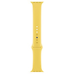Accessoires montre et bracelet Apple Bracelet Sport gingembre 40 mm - Regular - Autre vue