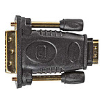 Câble DVI Nedis Adaptateur DVI-D/HDMI (Mâle / Femelle) - Autre vue