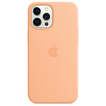 Apple Coque en silicone avec MagSafe pour iPhone 12 Pro Max - Orange (Melon)