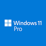 Microsoft Windows 11 Professionnel 64 bits (oem - DVD)