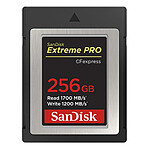 SanDisk Extreme Pro CFexpress Type B 256 Go